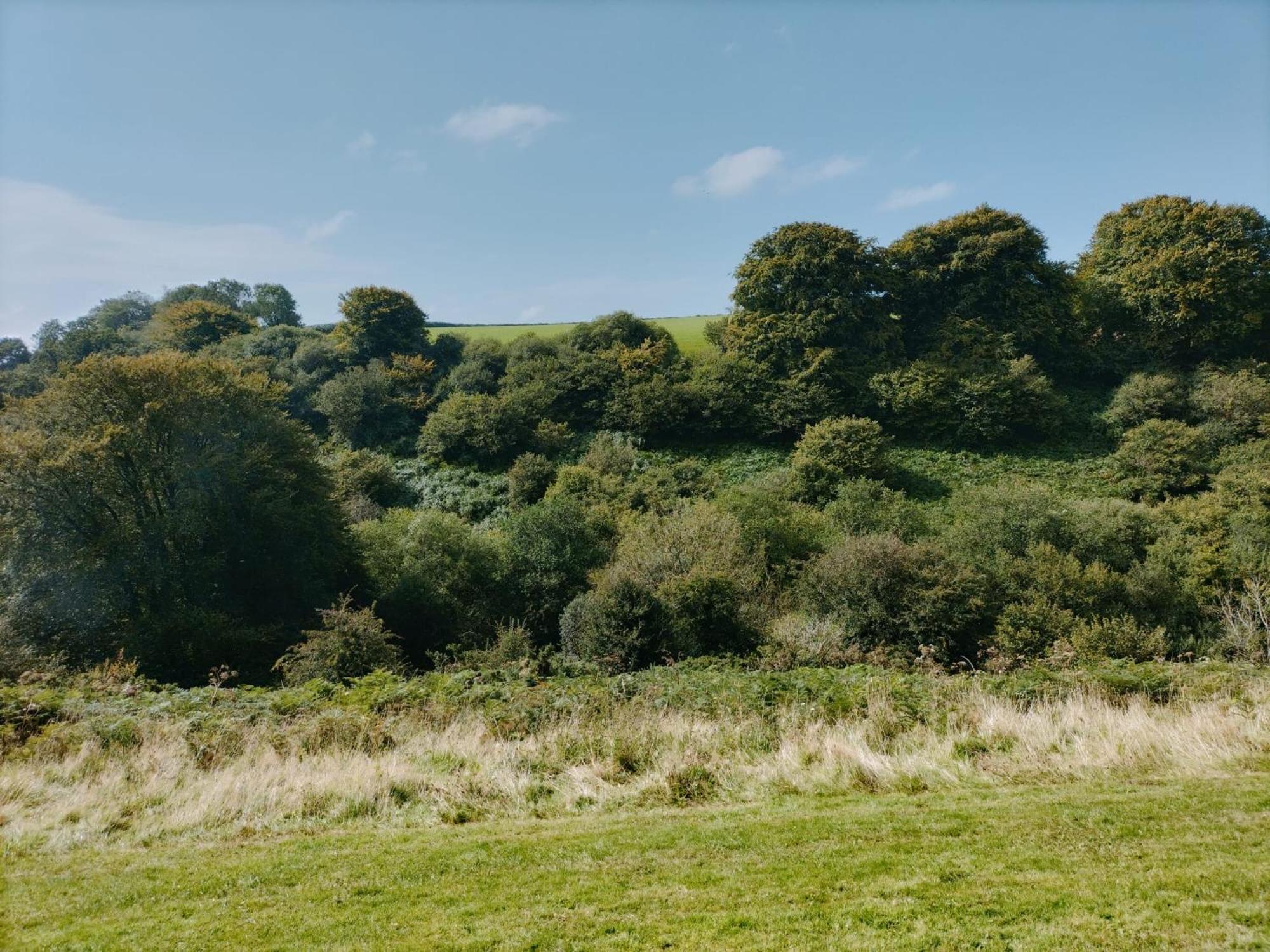 22 Stowford Gardens Combe Martin Appartement Buitenkant foto